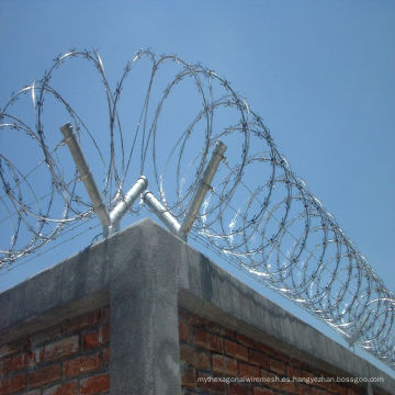 Concertina Razor Wire para seguridad